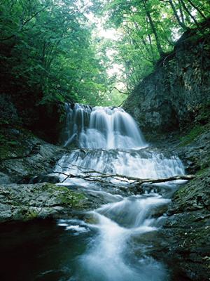 南町田駅近くの快適なビジネスホテル：東横INN南町田の魅力と特徴