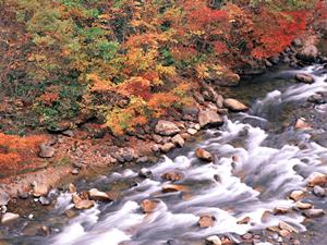 嬉野の温泉ホテルおすすめプラン料金