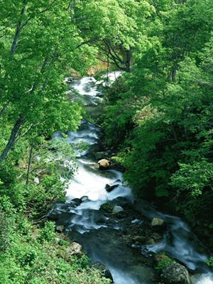 横浜鶴見駅から徒歩3分のビジネスホテル【東横INN横浜鶴見駅東口】 詳細ガイド