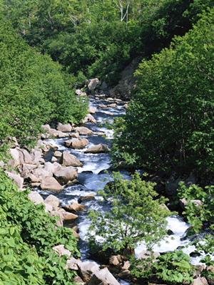 別府温泉 竹と椿のお宿 花べっぷ – くつろぎの温泉宿