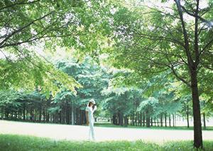 愛媛県新居浜市のビジネスホテル予約に最適！東横イン新居浜駅前の魅力と詳細情報