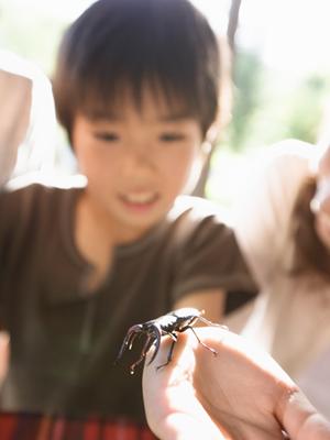 秋田県横手市に位置するホテルプラザアネックス横手の魅力と特徴