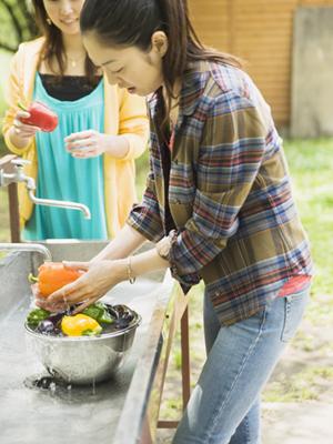 色々なプランがある東京湾クルージングの企画会社