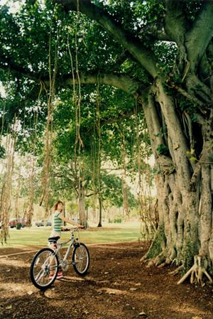 映画好き必見！魅力溢れる新宿のクラブ体験を楽しむ方法