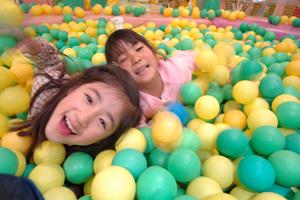 横浜で癒し体験！動物カフェのおすすめスポットと楽しみ方ガイド