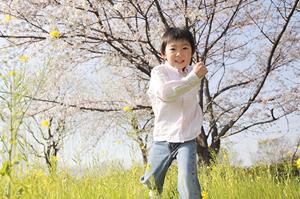 宮崎市のビジネスホテル【東横INN宮崎中央通】：快適な宿泊と便利な立地｜公式サイトの徹底ガイド