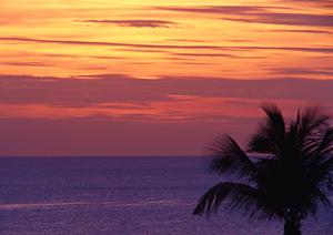 千葉県流山おおたかの森駅前に位置する便利なビジネスホテル：東横INN流山おおたかの森駅前の全容