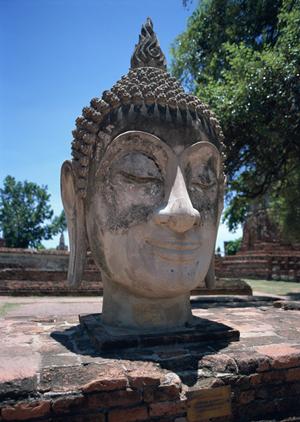 【公式】東横INN大阪伊丹空港の魅力と便利なサービス｜大阪府豊中市の快適ホテル