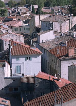 広島市那須のビジネスホテル【東横INN広島平和大通】：快適な滞在と便利なアクセスを提供