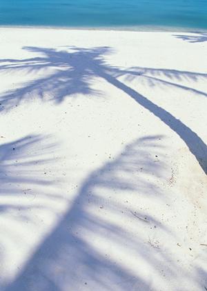 家族みんなで楽しむ！金沢の伝統文化を体験できる学習アクティビティ完全ガイド