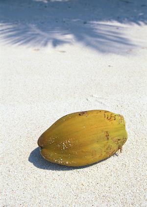 姫路駅から徒歩1分のビジネスホテル：東横INN姫路駅新幹線南口の魅力と詳細情報