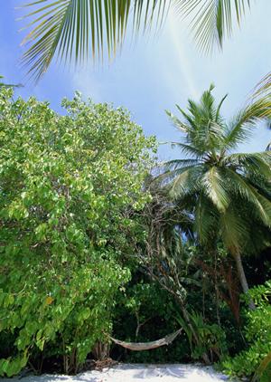 出雲市駅前に位置する東横INNホテルの魅力と概要 ? 交通便利なビジネス&観光拠点