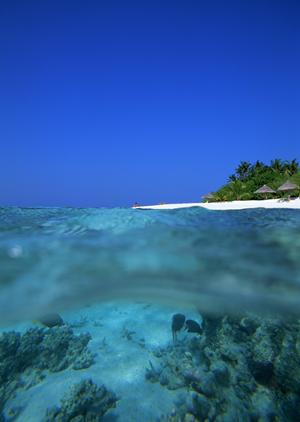 奈良・天理駅近くの快適ビジネスホテル【東横INN天理駅前】の魅力と詳細情報