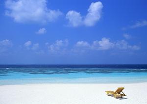 静岡駅から徒歩5分の多彩なレストランと宿泊を提供する中島屋グランドホテルの魅力