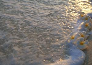 東横インソウル永登浦：アクセス便利なビジネスホテルと快適な宿泊体験