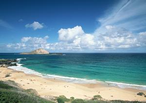 東横INN印旛日本医大駅前：千葉県のビジネス・観光に最適な快適ホテルガイド
