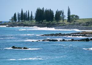 岡崎エリアでパチンコを楽しむならここで