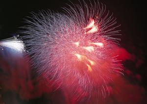 ブータン観光を安心して楽しむ方法